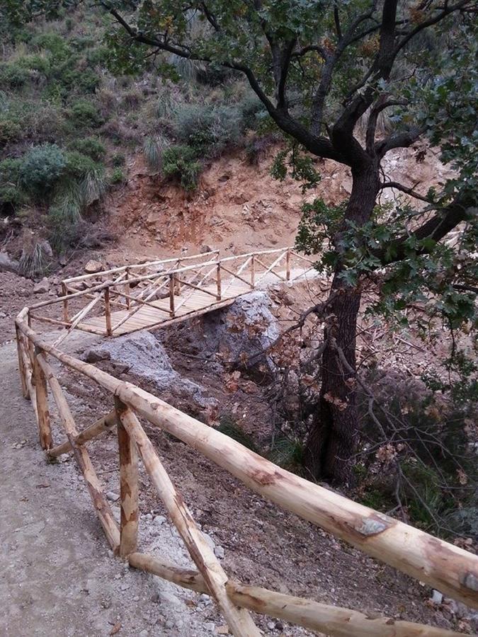 B&B L'Alba Gagliato Dış mekan fotoğraf