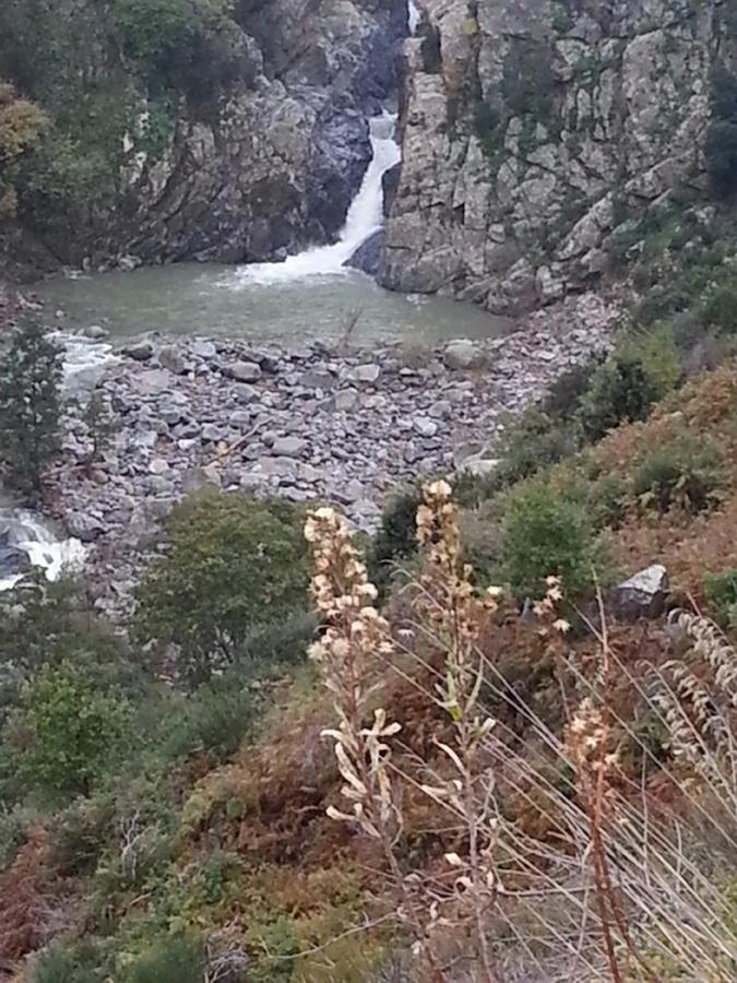 B&B L'Alba Gagliato Dış mekan fotoğraf